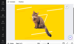 How to Make a Background Transparent in Canva (Fast & Easy)